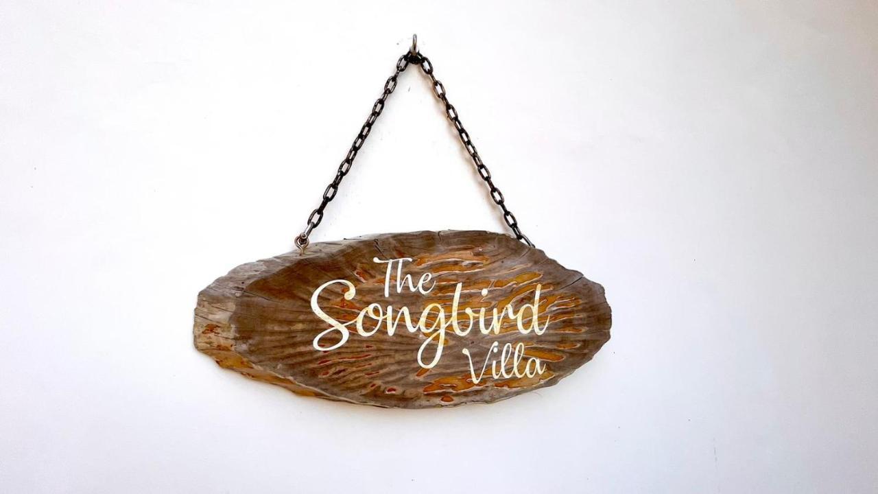The Songbird Villa Pointe Au Sel Екстериор снимка